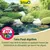 Tetra Pond AlgoRem. Action rapide dès 24 h, clarifie l’eau verte de l’étang en éliminant le phosphate qui nourrit les algues. Tetra Pond AlgoRem. Action rapide dès 24 h, clarifie l’eau verte de l’étang en éliminant le phosphate qui nourrit les algues.