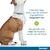 Seresto vlooien- en tekenband voor Grote honden (> 8 kg)