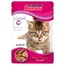 Voordeelpakket Super Benek Super Chunks Kitten 48 x 100 g - Lam in saus