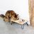 Designed by Lotte Dinnerset Linga