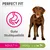 Perfect Fit Hundefutter für Erwachsene Hunde ab 1 Jahr, Gewicht über 10kg. Unterstützt gute Stuhlqualität.