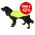 Cane nero con mantella gialla riflettente, etichetta rossa con testo: FINO A -42 %