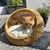Katzenkorb aus geflochtenem Rattan mit beigem Kissen, darauf eine orangefarbene Katze liegend. Im Hintergrund Pflanzen und Terrasse sichtbar.