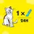 Feeding guide showing one Creamy stick per 24 hours with an illustrated cat beside the product and dosage information.