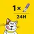 Recomendación de alimentación: 1 Dreamies Creamy Snack cada 24 horas. Ilustración de un gato con fondo amarillo.