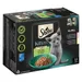 Sheba Kitten Variazioni Buste 12 x 85 g Umido per gatto - Squisite varietà in salsa (salmone, pollo)