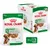 Royal Canin Mini Adult Gravy-Salsa, 85g x12. Dla psów powyżej 10 miesięcy i do 10 kg. Utrzymanie wagi. Rozmiar S. Health Nutrition od 1968.