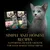 Sheba Kitten in Gravy with salmon and chicken, 85g pouches. Simple and honest recipes supporting healthy growth for your newest feline friend.