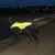 Schwarzer Hund trägt reflektierende gelbe Sicherheitsweste mit Leine bei Nacht auf Gehweg.