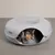 Cama cinzenta para gatos em feltro com fecho, modelo Modern Living. Gato a olhar pela abertura.