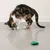 Katze spielt mit grünem Stoffspielzeug auf dem Boden, weiteres grünes Spielzeug liegt daneben.
