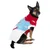 Hund trägt einen gestrickten Pullover mit Schneeflocken-Motiv in Rot, Blau und Weiss. Produkt zeigt Design und Passform des Hundepullovers.