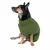 Chien portant un pull en maille vert, manches courtes et col roulé. Pull visible sur l’ensemble du corps du chien, texture tricotée apparente.