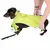 Chien teckel portant un imperméable vert, une personne ajuste le vêtement. Sangle noire avec boucle visible sur la patte avant du chien.