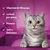 Whiskas Temptations - Salmon - Multibuy: 8 x 60g