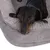 Hond ligt op een grijs, zacht hondenbed met pluche bekleding.