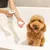 Dog in a bathtub, next to a hand with foam from a dispenser. Demonstration of the use of a pet care product.