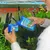 Person giesst Biotopol Wasseraufbereiter aus blauer Flasche in Messbecher vor Aquarium mit Pflanzen und Fischen.