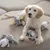 Puppy with four plush animal toys, including elephant, sloth, rabbit and whale, on a sofa.
