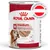 Royal Canin medium ageing Loaf-Mousse, Unterstützung der Muskulatur, Hunde ab dem 7. Lebensjahr, hergestellt in Österreich, 400g Dose sichtbar. Royal Canin medium ageing Loaf-Mousse, Unterstützung der Muskulatur, Hunde ab dem 7. Lebensjahr, hergestellt in Österreich, 400g Dose sichtbar.