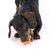 Hund leger med orange tyggelegetøj. Demonstration af produktets brug.