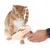 Spielzeug mit Federaufsatz, das von einer Hand gehalten wird. Eine orangefarbene Katze interagiert neugierig mit dem Spielzeug.