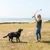 Person throws a tennis ball with a ball launcher while a black dog with a red collar waits.