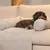 Dog lying on a light grey, ribbed sofa protector with integrated armrest.