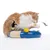Cat toy with blue base, sisal scratching surface, interactive elements such as feather, yellow plush ball and butterfly. Cat plays with the butterfly.