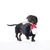 Chien tenant un jouet en corde blanche avec extrémité rouge et blanche dans la gueule, sur fond blanc.