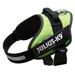 JULIUS-K9 IDC® Power Harness – Neon Green - Size L: Chest Circumference 63 - 85cm