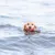 Hund schwimmt im Wasser und trägt einen grauen Apportierdummy im Maul.