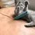 Gatto grigio che gioca con un gioco di stoffa blu su un divano in pelle marrone.
