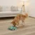 Chien de taille moyenne reniflant un jeu d’intelligence vert en plastique posé au sol dans un salon moderne avec canapé et lampe sur pied.