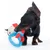 Cane che gioca con un gioco composto da un anello blu e una figura di stoffa rosso-blu.