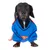 Costume per cane blu con logo Superman rosso sul petto e mantello rosso.