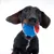 Cane con pallina da tennis blu e rossa in bocca, mostra l’uso di un gioco per pet.