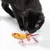 Schwarze Katze untersucht drei Stoffspielzeuge in Bonbonform mit bunten Schleifen, gelb, weiss und rosa mit Sternmotiv.