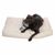 DC Hondenmatras Batman