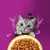 Whiskas 1+ Aromatic Selection 48 x 85 g