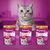 Whiskas Anti-Hairball