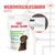 Royal Canin Immunity & Digestion Chews für Welpen, wiederverschliessbarer Beutel, 40 Stück. Wissenschaftlich bewährte Zutaten, 83% der Besitzer sind zufrieden.