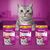 Whiskas Dentabites