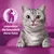 Symbol eines Zahns mit Kreuz und Text: Unterstützt die Gesundheit deiner Katze. Abgebildet ist eine graue Katze mit rosa Hintergrund.