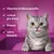 Vitamine & Mineralstoffe, unter 2 kcal pro Stück, Protein, 100% köstlich. Katze mit herausgestreckter Zunge vor lila Hintergrund.