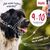 Halti Hunde-Kopfhalfter schwarz