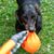 TIAKI Hundespielzeug Wurfball mit Fangschwanz