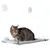 Window perch with suction cups, grey lying surface, cat sitting on it. Suitable for attachment to smooth surfaces such as glass.