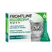 FRONTLINE Combo Line Chat - 6 pipettes x 0,5 ml