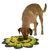 Hund nutzt gelb-grüne Schnüffelmatte in Blumenform zur Futtersuche.
